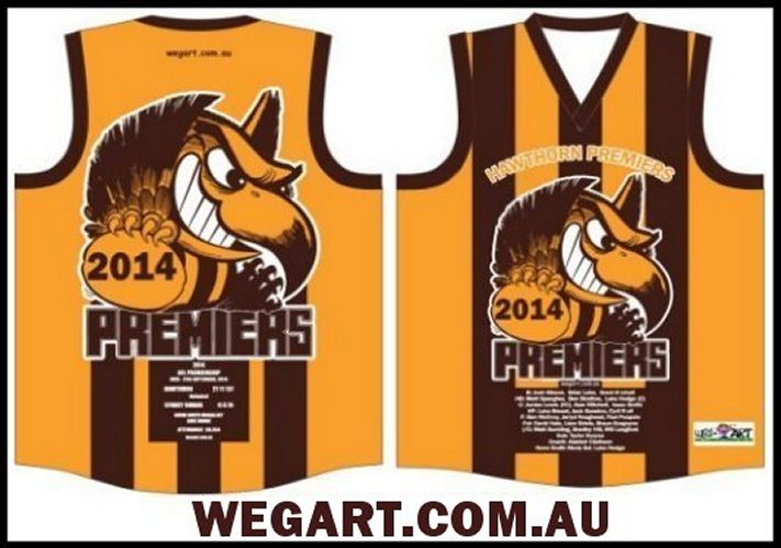 Hawks 2014 Premiership Jumper